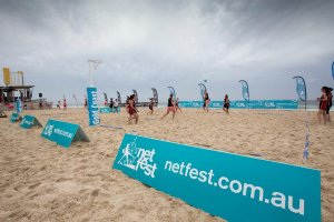 Netfest Netfest